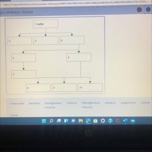 I’m not very good in science so I need help with this.

Drag each tile to the correct location on