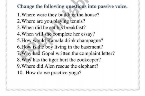 6. How is the boy living
in the basement?