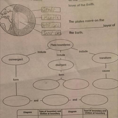 Fill in the circles pls