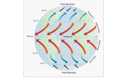 Look at the model of the earth above and give reasoning to explain how and why earths rotation affe