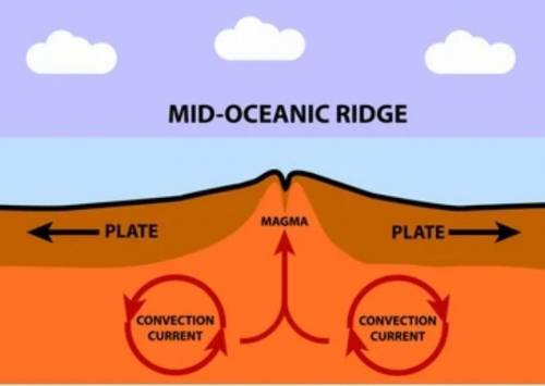 Diagram and meaning of mid oceanic ridges