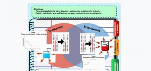 Is this correct I do not really understand what endothermic and exothermic are.