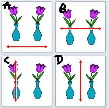 30 points HELPP QUICK which picture shows the line of reflection?