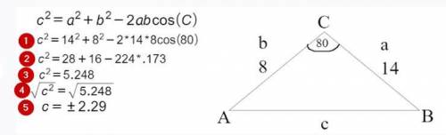 Marques made a mistake when solving this problem. On what line did he make the error?

Line 1
Line