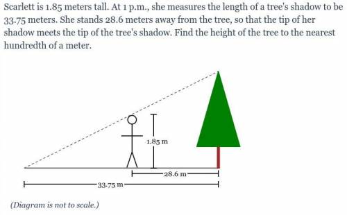 70 pts if your correct. ROUND YOUR ANSWER.